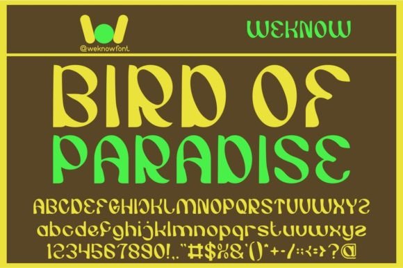 Unleashing Tropical Elegance: Bird of Paradise Font Guide